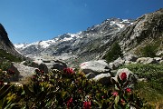 35 Risalendo la valle glaciale del Forno